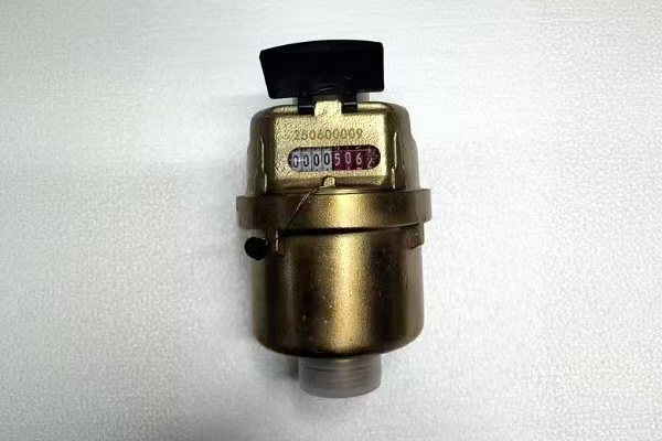 容积式水表实拍图片1